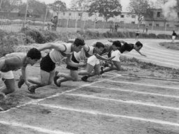 1963_stud